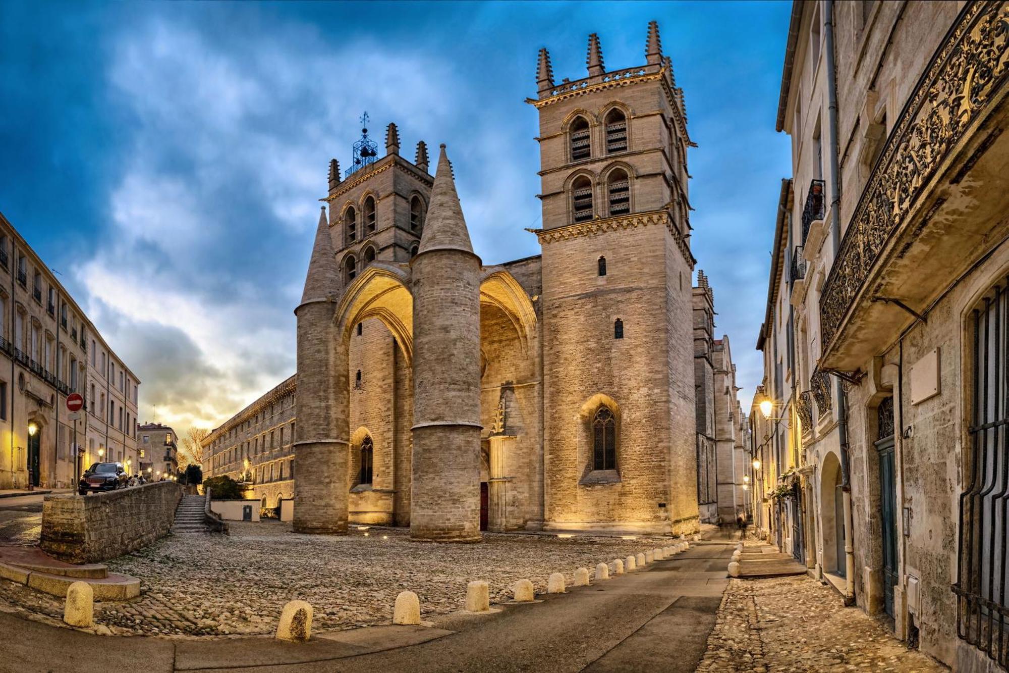 Terrasse De La Pompignane - T2 Lumineux Plein Sud Lägenhet Montpellier Exteriör bild